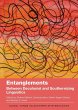 Entanglements - Bild 1