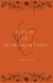 In The Eye of The Orange Butterfly