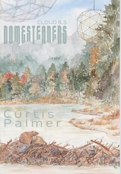 Cover Domesteaders