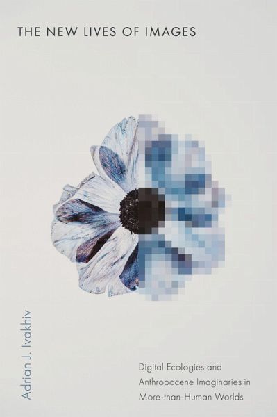 The New Lives of Images