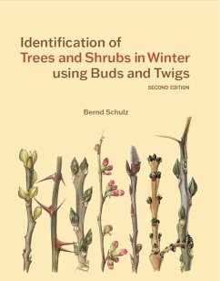 Identification of Trees & Shrubs in Winter Using Buds and Twigs, Second Edition - Schulz, Bernd