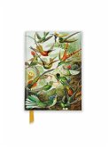 Ernst Haeckel: Hummingbirds (Foiled Pocket Journal) Ernst Haeckel: Hummingbirds (Foiled Pocket Journal)