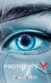 Prototype Y Prototype Y