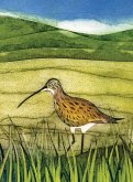 Wild Birds Pocket Notebook: Curlew Wild Birds Pocket Notebook: Curlew