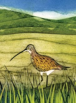 Cover Wild Birds Pocket Notebook: Curlew