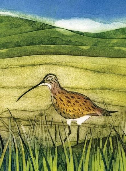 Wild Birds Pocket Notebook: Curlew