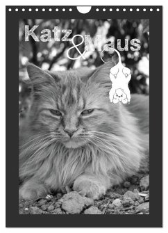 Cover Katz & Maus (Wandkalender 2026 DIN A4 hoch), CALVENDO Monatskalender