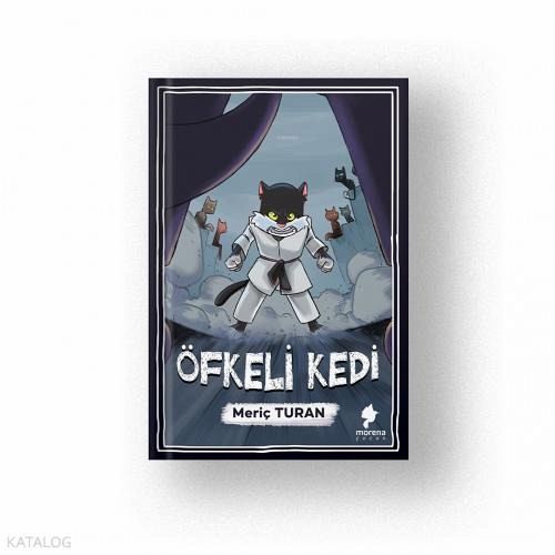 Öfkeli Kedi Öfkeli Kedi