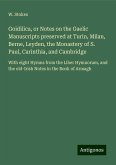 Goidilica, or Notes on the Gaelic Manuscripts preserved at Turin, Milan, Berne, Leyden, the Monastery of S. Paul, Carinthia, and Cambridge