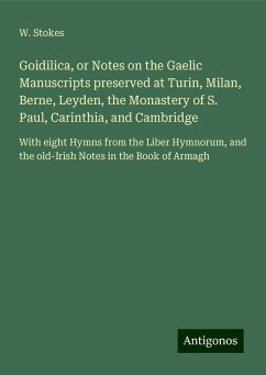 Goidilica, or Notes on the Gaelic Manuscripts preserved at Turin, Milan, Berne, Leyden, the Monastery of S. Paul, Carinthia, and Cambridge - Stokes, W.
