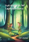 Two Elves in the Land of People Two Elves in the Land of People