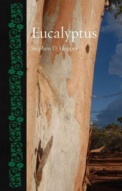Cover Eucalyptus