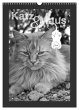 Katz & Maus (Wandkalender 2026 DIN A3... - Bild 1
