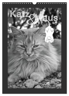 Cover Katz & Maus (Wandkalender 2026 DIN A3 hoch), CALVENDO Monatskalender