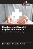 Il potere curativo del Phyllanthus amarus Il potere curativo del Phyllanthus amarus