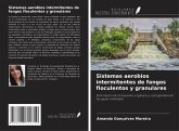 Sistemas aerobios intermitentes de fangos floculentos y granulares Sistemas aerobios intermitentes de fangos floculentos y granulares