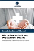 Die heilende Kraft von Phyllanthus amarus Die heilende Kraft von Phyllanthus amarus