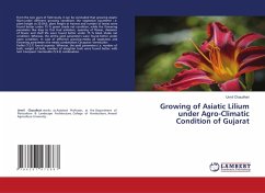 Cover Growing of Asiatic Lilium under Agro-Climatic Condition of Gujarat