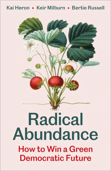Radical Abundance (eBook, ePUB)
