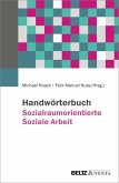 Handwörterbuch Sozialraumorientierte Soziale Arbeit (eBook, PDF)