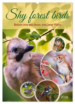 Shy forest birds (Wall Calendar 2026 DIN A2 portrait), CALVENDO 12 Month Wall Calendar