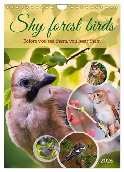 Shy forest birds (Wall Calendar 2026 DIN A4 portrait), CALVENDO 12 Month Wall Calendar Shy forest birds (Wall Calendar 2026 DIN A4 portrait), CALVENDO 12 Month Wall Calendar