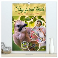 Shy forest birds (High Quality Premium Wall Calendar 2026 DIN A2 portrait),CALVENDO 12 Month Wall Calendar