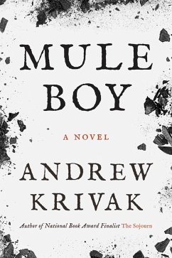 Mule Boy (eBook, ePUB) - Krivak, Andrew