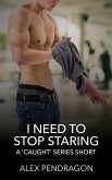 I Need To Stop Staring (Caught) (eBook, ePUB) I Need To Stop Staring (Caught) (eBook, ePUB)