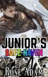 Junior's Safe Haven (Bikers in Love,... - Bild 1