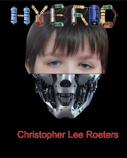 Hybrid (eBook, ePUB) Hybrid (eBook, ePUB)