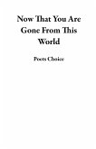 Now That You Are Gone From This World (eBook, ePUB) Now That You Are Gone From This World (eBook, ePUB)