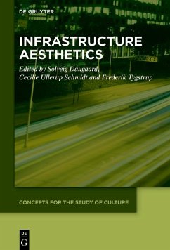 Cover Infrastructure Aesthetics (eBook, ePUB)