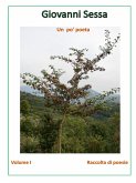 Un po' poeta (eBook, ePUB) Un po' poeta (eBook, ePUB)