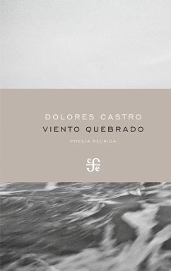 Cover Viento quebrado (eBook, PDF)