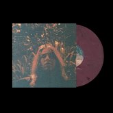 Peripheral Vision 10th Anniversary (Cherry Marble Peripheral Vision 10th Anniversary (Cherry Marble