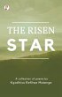 The Risen Star (eBook, ePUB) - Bild 1