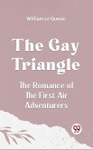 The Gay Triangle The Romance Of The First Air Adventurers (eBook, ePUB)