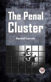 The Penal Cluster (eBook, ePUB)