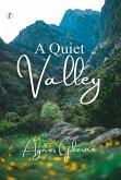 A quiet valley (eBook, ePUB)