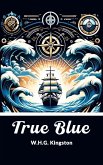 True Blue (eBook, ePUB)