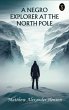 A Negro Explorer at the North Pole... - Bild 1