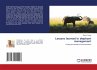 Lessons learned in elephant management - Bild 1