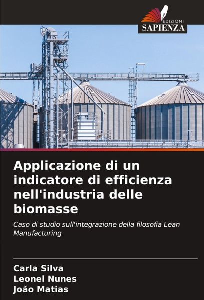 Applicazione di un indicatore di efficienza nell'industria delle biomasse