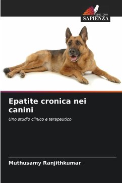Cover Epatite cronica nei canini