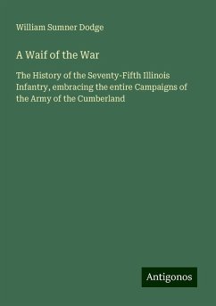 A Waif of the War - Dodge, William Sumner