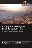Alloggiare i bisognosi: la sfida sudafricana Alloggiare i bisognosi: la sfida sudafricana