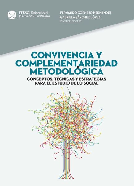 Convivencia y complementariedad metodológica (eBook, ePUB)