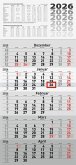 rido/idé 7033520006 5-Monatskalender 2026 grau, 300×630 mm rido/idé 7033520006 5-Monatskalender 2026 grau, 300×630 mm