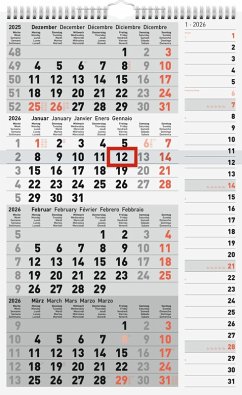 Cover rido/idé 7033430006   4-Monatskalender 2026   grau, 300×490 mm